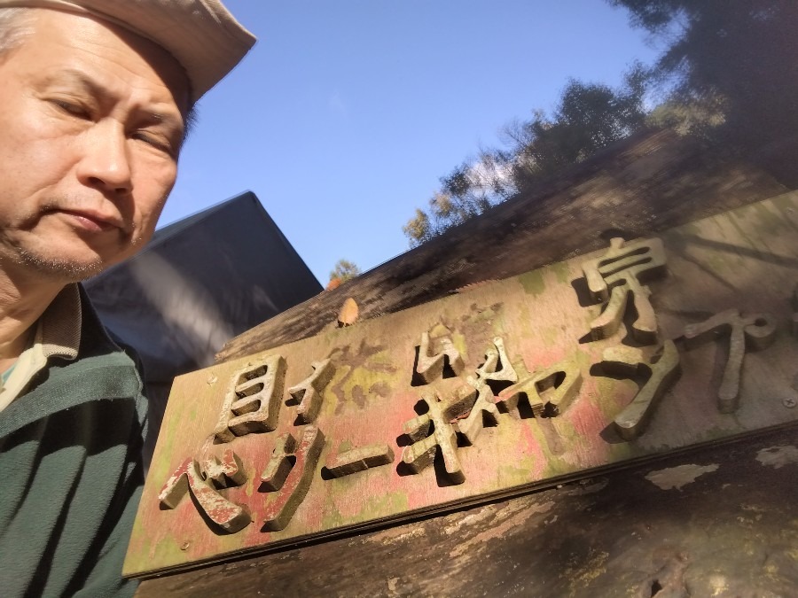 自然館泉ベリーキャンプ場　神奈川県